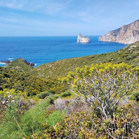 Villa Brezza Marina Nebida Εξωτερικό φωτογραφία