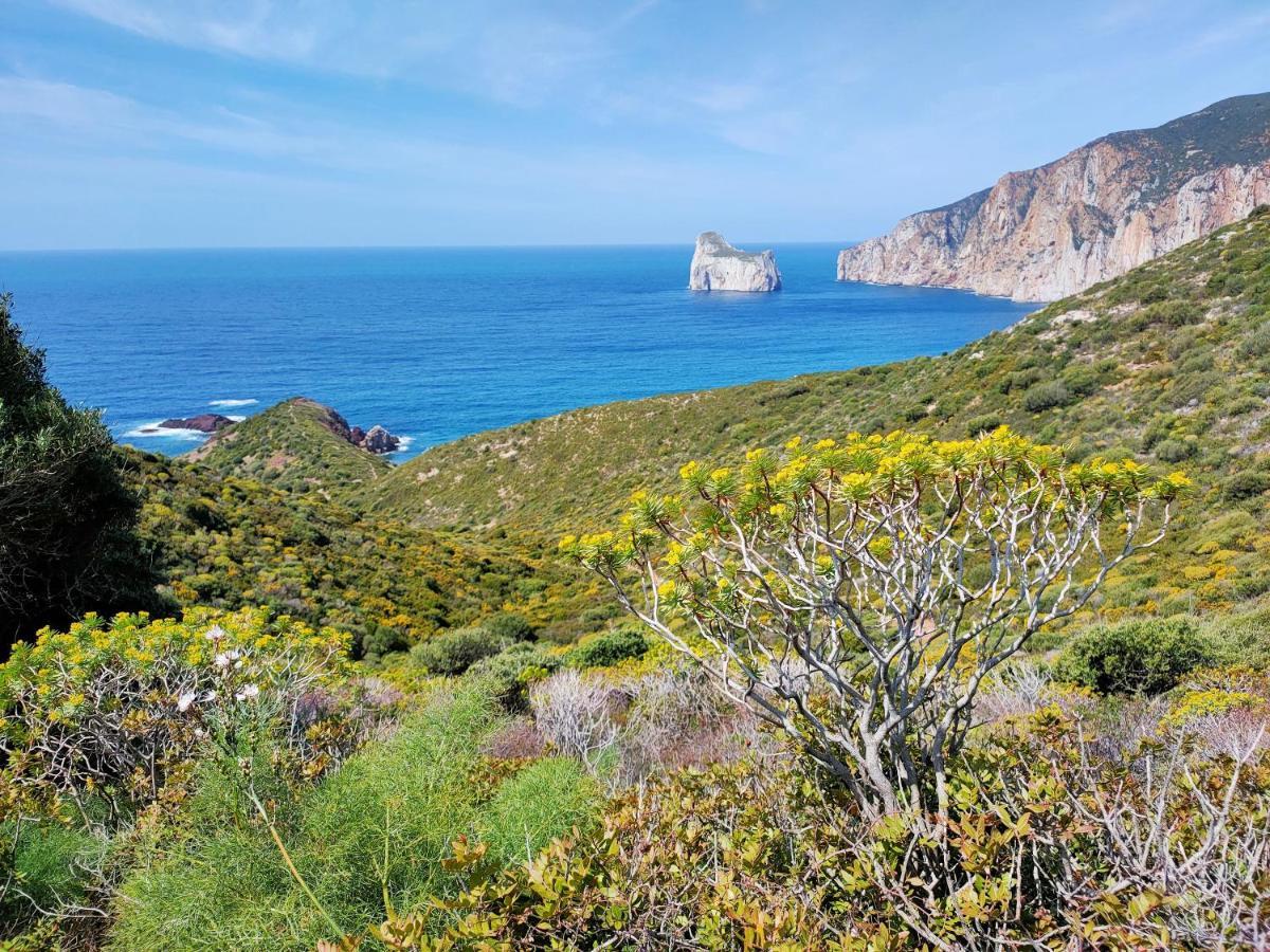 Villa Brezza Marina Nebida Εξωτερικό φωτογραφία