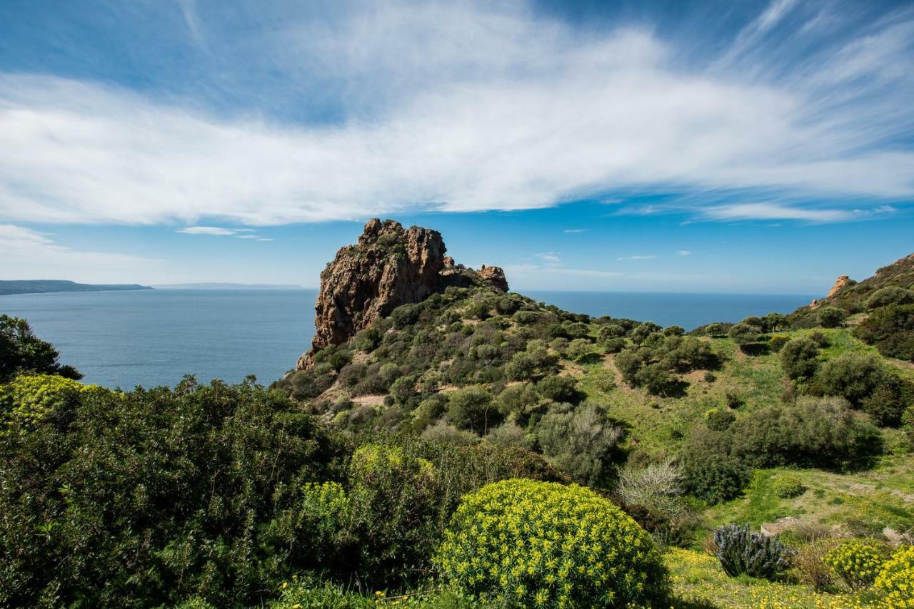 Villa Brezza Marina Nebida Εξωτερικό φωτογραφία