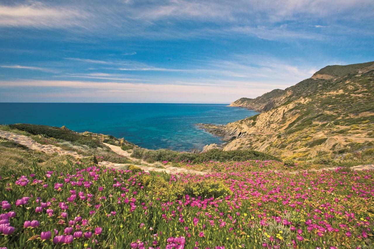 Villa Brezza Marina Nebida Εξωτερικό φωτογραφία